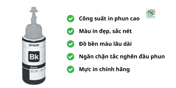 Mực in Epson T673 C13T673100