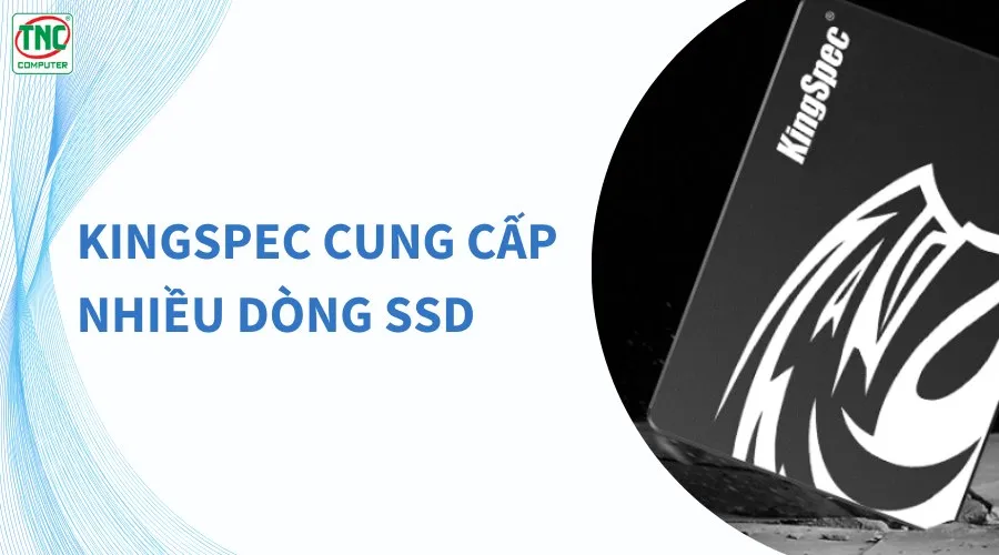 đánh giá ssd kingspec