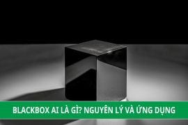 Blackbox AI là gì? Nguyên lý hoạt động và ứng dụng Blackbox A