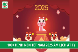 Tết 2025 Ất Tỵ: Hình Nền Đẹp, Ý Nghĩa Mới Nhất