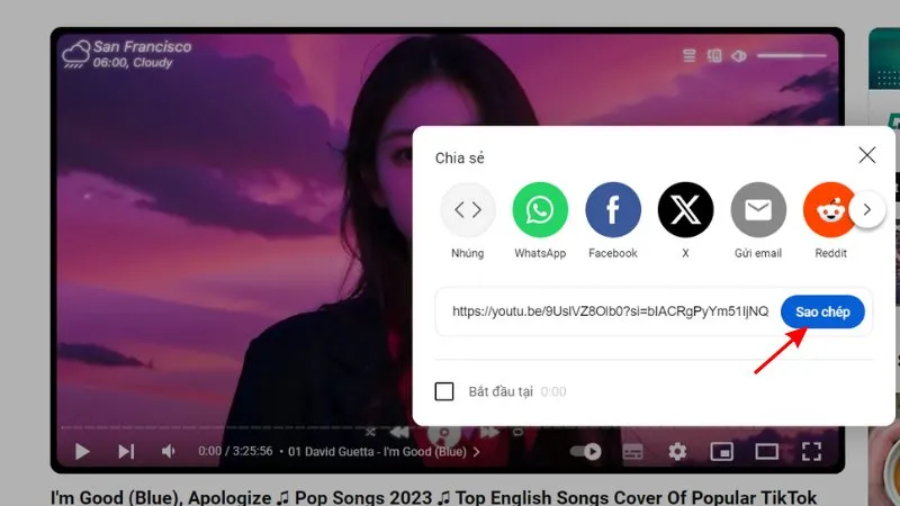 Sao chép đường link video