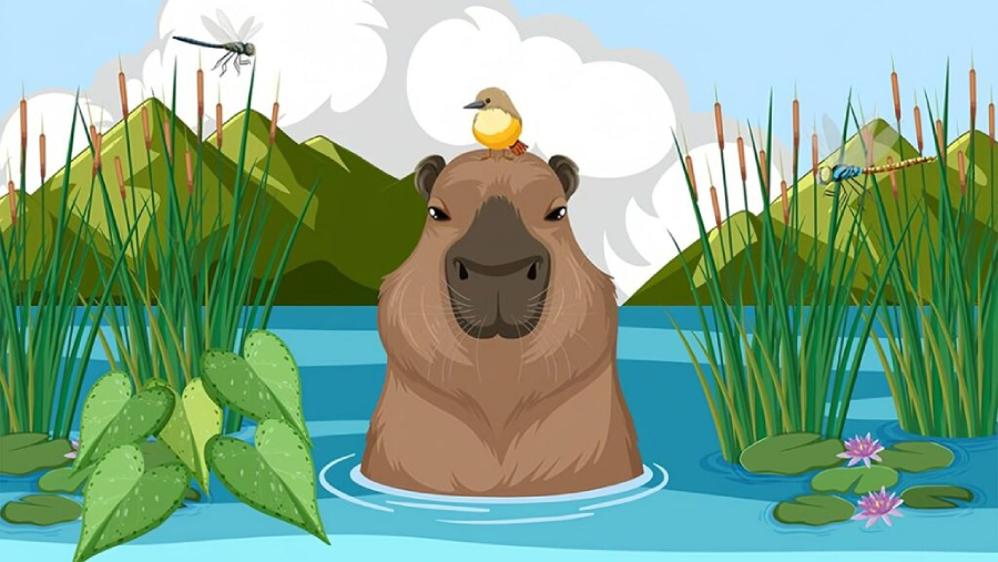 Hình nền cute Capybara 9