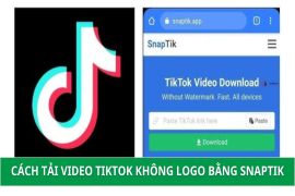 Snaptik: Công cụ tải video Tiktok không logo miễn phí & hiệu quả