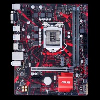 Mainboard ASUS EX-B365M-V5