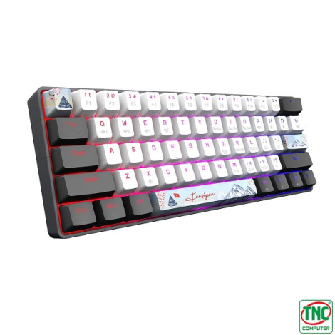 Bàn phím cơ Gaming không dây E-DRA EK361W Snow màu Xám Trắng