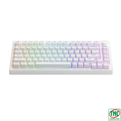 Bàn phím cơ Gaming không dây AKKO 5075B Plus White (Multi-modes/RGB/Gasket mount)