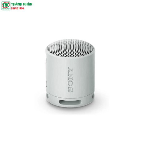 Loa Bluetooth Sony SRS-XB100 Silver