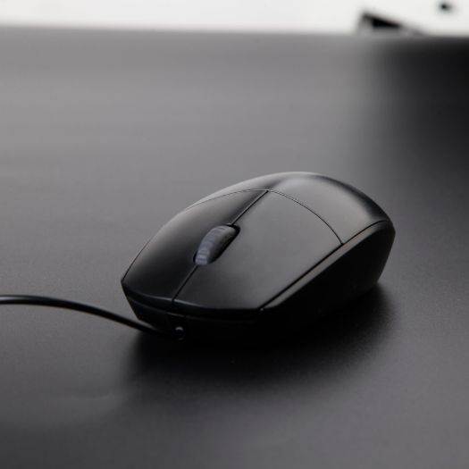 product-tab-2