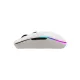 product-tab-2