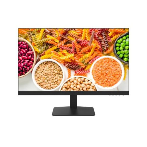 Màn hình LCD Hikvision DS-D5024F2-5P2 (23.8 inch/ 1920 x 1080/ 250 cd/m2/ 100Hz)